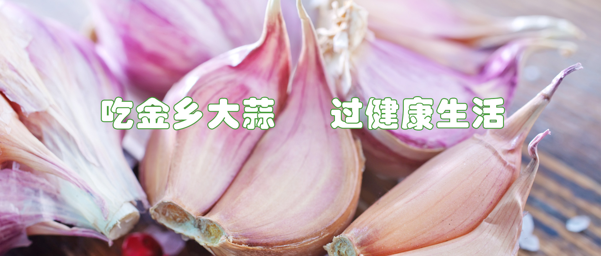 山东大蒜代销